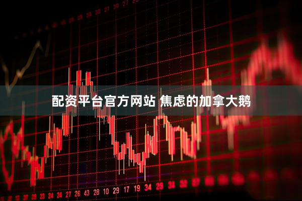 配资平台官方网站 焦虑的加拿大鹅