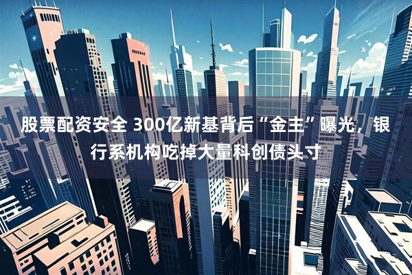 股票配资安全 300亿新基背后“金主”曝光，银行系机构吃掉大量科创债头寸